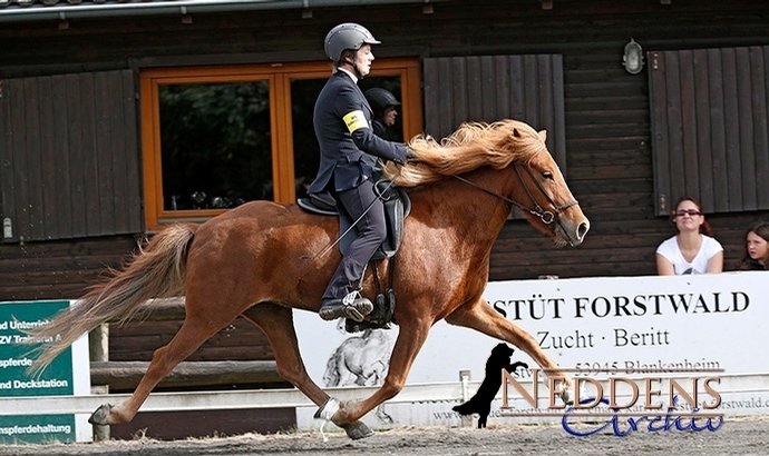 Roderath: F2-Gold für Bonk, Faulseit, Kleer / alle Erg.