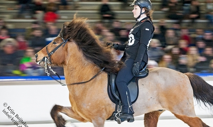 Ice Horse: Toke gewinnt Wimpernschlag-T2