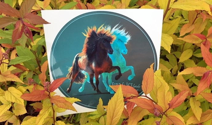 Fire & Ice: fantastischer Sticker von Ulli Neddens