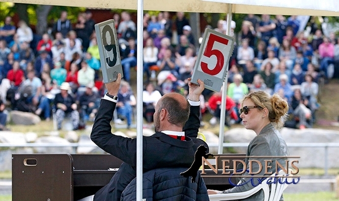 FEIF gibt finales Aufgebot für WM-Jury bekannt