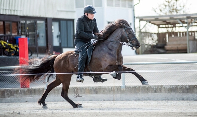 Wingstrand & MacKenzie: Jubel über Hera & Maximus