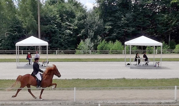 Radegund: Oliver, 2x Mara, Marie vergolden Finals