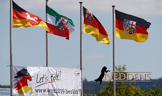 DIM: Tag 2 beginnt, Video-Nachlese vom Mittwoch