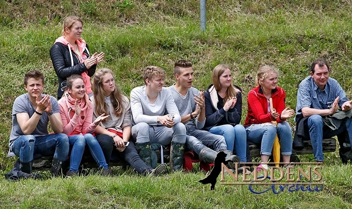 Töltmyllan: Jolly und Olivia vergolden V1 und Y1.T1