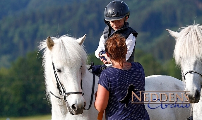Alpenhof: Final-Nachlese und Neddens-Album