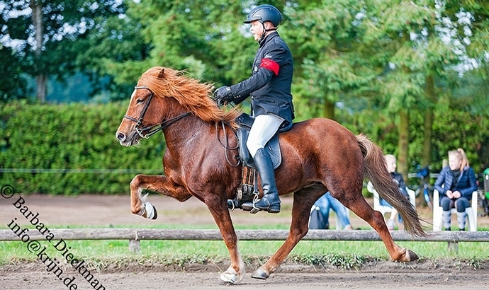Sandheide: Video-Nachlese der Finals in T1 und T2