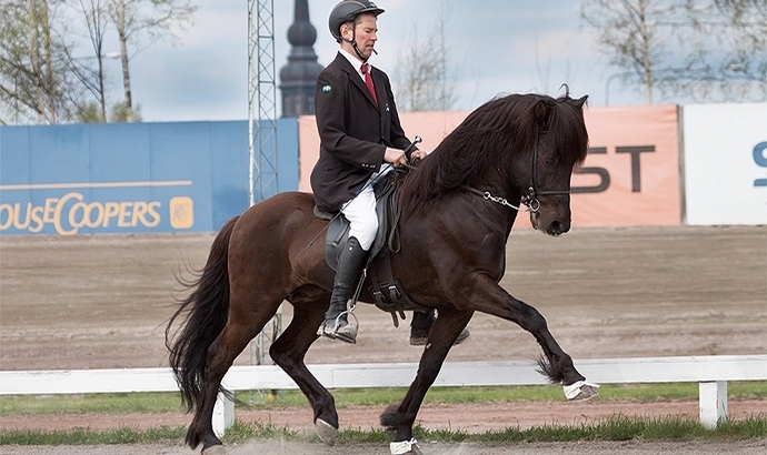 Prins från Knutshyttan gastiert 2017 im Sauerland