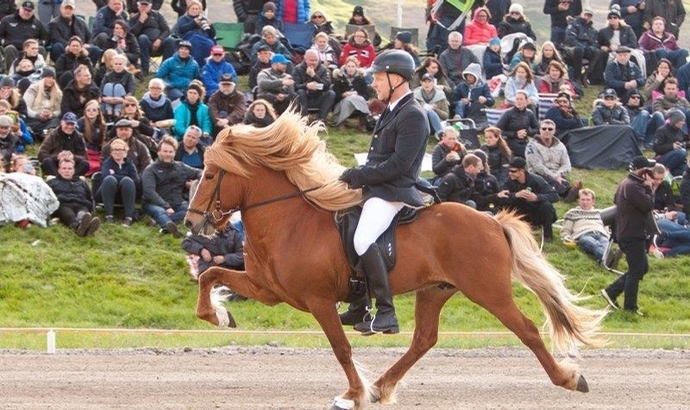 Videos vom Landsmót 14 und 16 zum Sonderpreis