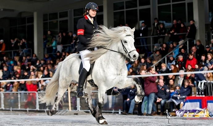 IceHorse: Zeitplan für Samstag/Sonntag in Berlin