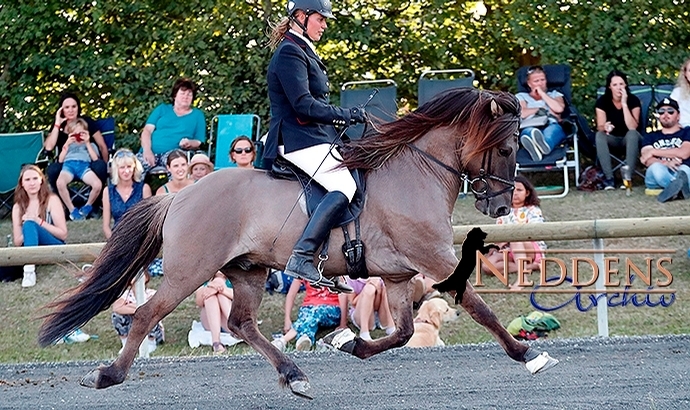 DIM: Lisa und Byr gewinnen Fünfgang-Futurity (6j.)