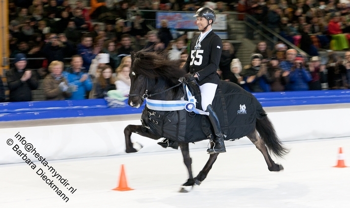 Ice Horse: Viergang-Gala von Nils und Viktor