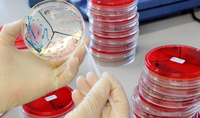 Tierseuchenkasse NRW: Infektionsdiagnostik gratis