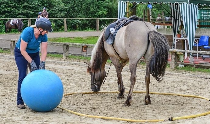 Grenzdyck: Sonne, Action, Islandpferde-Vielseitigkeit
