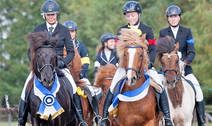 Stimmungsvolle Galerie vom OSI Gut Sandheide