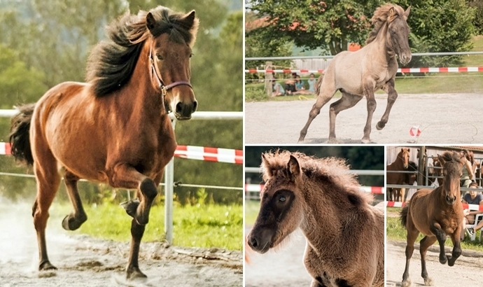 Atzenberg & Hundsrücken in Oberschwaben obenauf