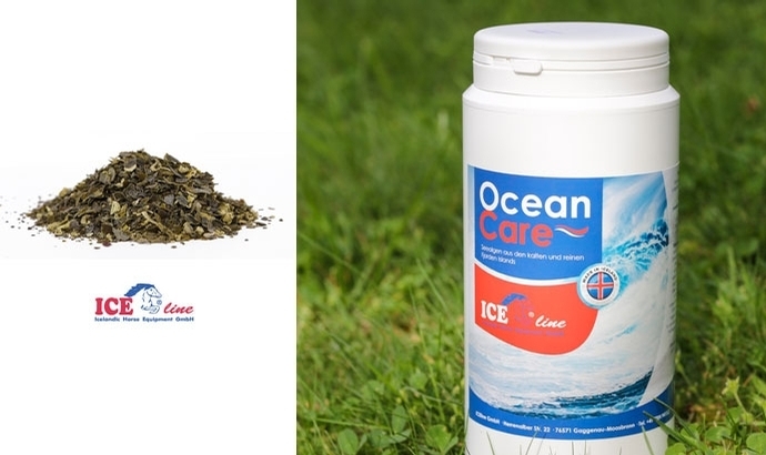 Ocean Care: Wertvolle Island-Algen bei ICE-line