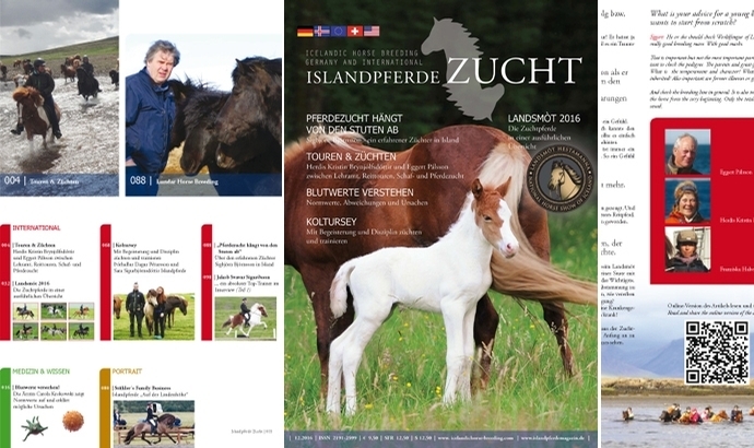 Ausgabe 12 der ‘IZ’ landet pünktlich zu Weihnachten