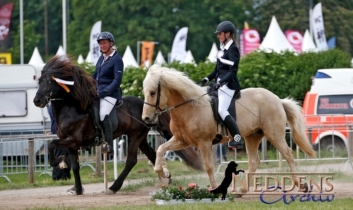 Equitana Open Air: erste Ergebnise aus Neuss