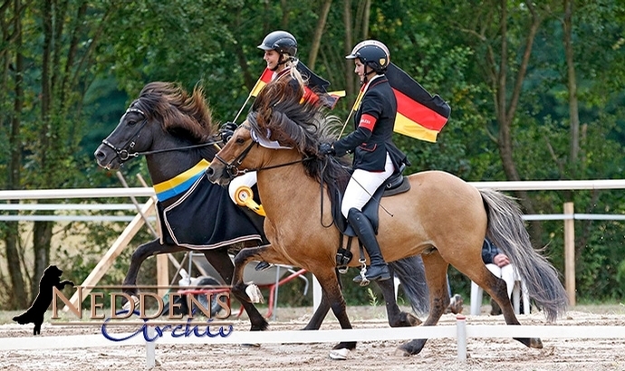 MEM live: Lea gewinnt Y.T1 nach PZ vor Johanna
