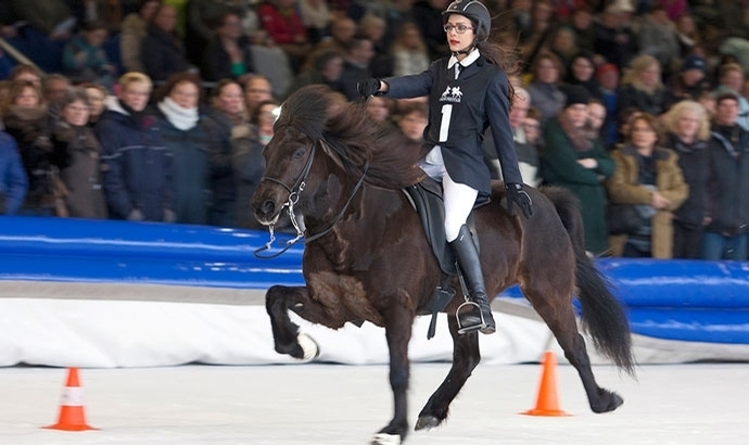 Ice Horse: Video-Nachlese der Töltprüfung T2