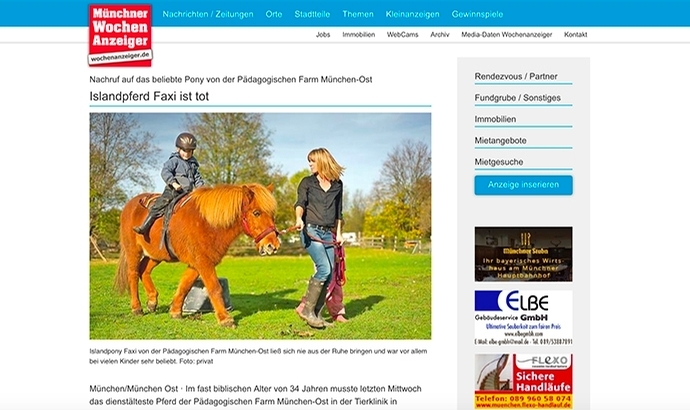 ‘Pädagogischer Isländer’ Faxi im Pferdehimmel