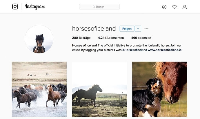 Horses of Iceland mit eigenem Instagram-Kanal
