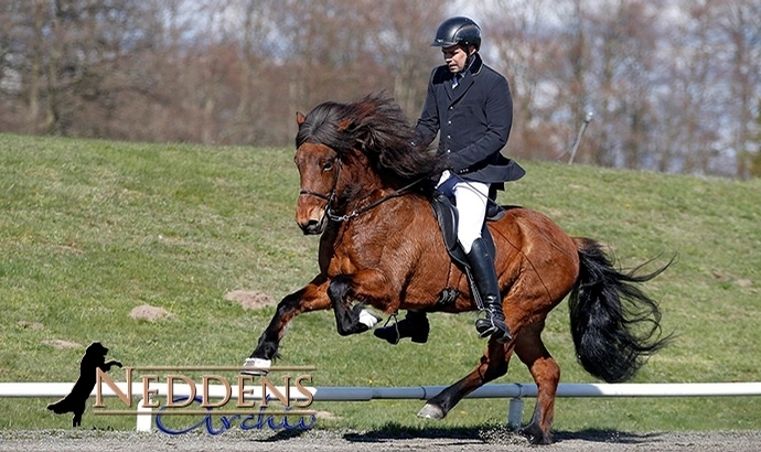 ISICUP: V1-Video vom M’hof, Sarah & Felicia froh