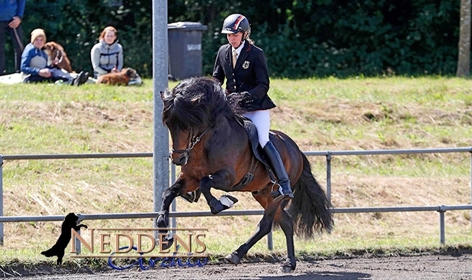 Lingen: Frauke toppt F1 mit Óðinn / Emsland-Updates