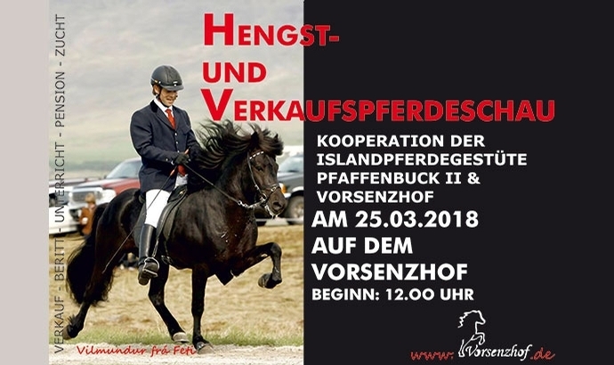 Vorsenzhof lädt ein: SO ab 12, Hengste und VK-Pferde