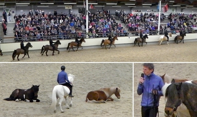 Handorf: Video-Highlights aus Sport/Show vom SA