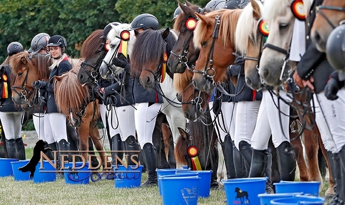 MEM: Starke Equipe des IPZV für St. Radegund