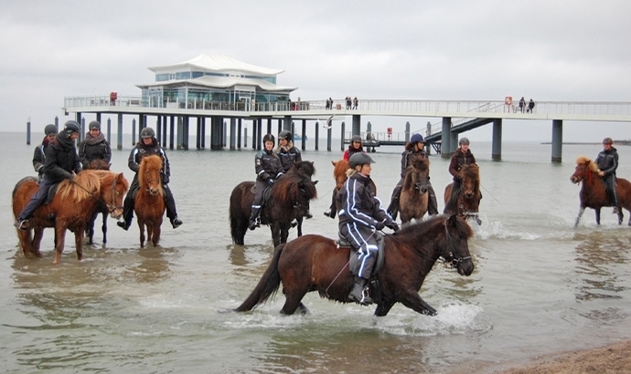 Team Vindhólar geht baden … beim Ostsee-Tölt