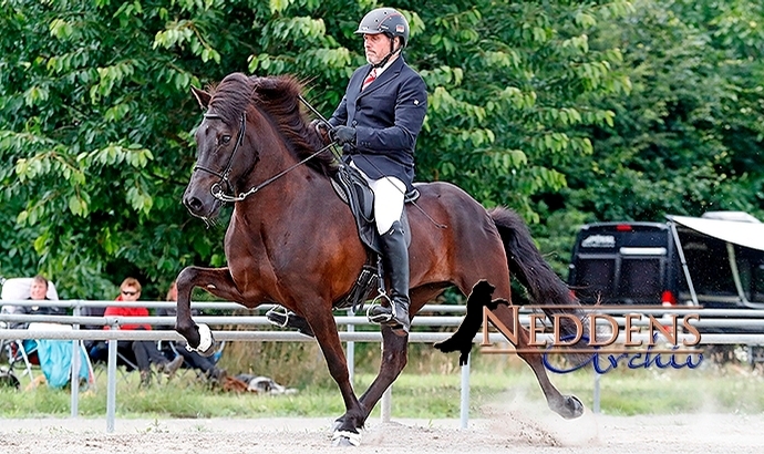 Lingen: Karly und Náttrún toppen den Töltpreis