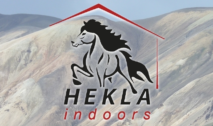 Islandpferdefreunde Hekla: Indoor-Sport CH-Style