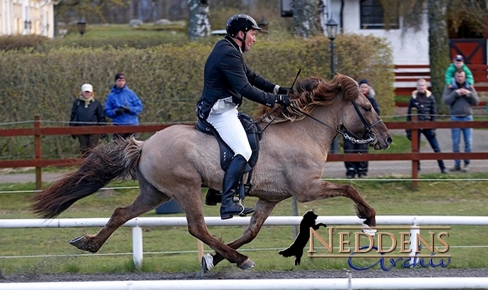 ISICUP: PP1 an Magnús & Sofie, Rørvang im T1-AF