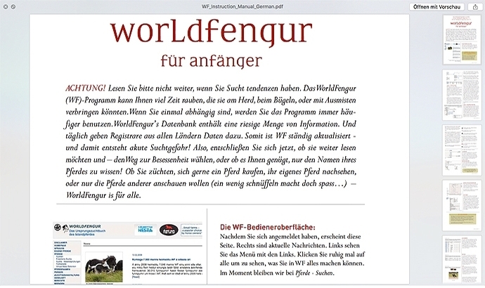 WorldFengur-Handbuch für die erfolgreiche Recherche