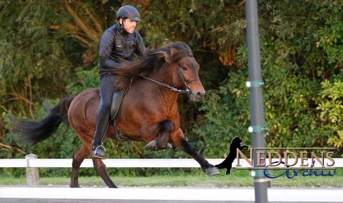 P’championat: Emblason und Skutla nach Tag 1 top