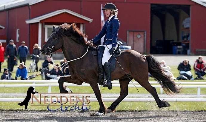 ISICUP live: T2-Gold an Eyjólfur und Clara (YR)