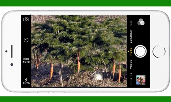 Weihnachts-Fotos teilen und tolle Preise gewinnen