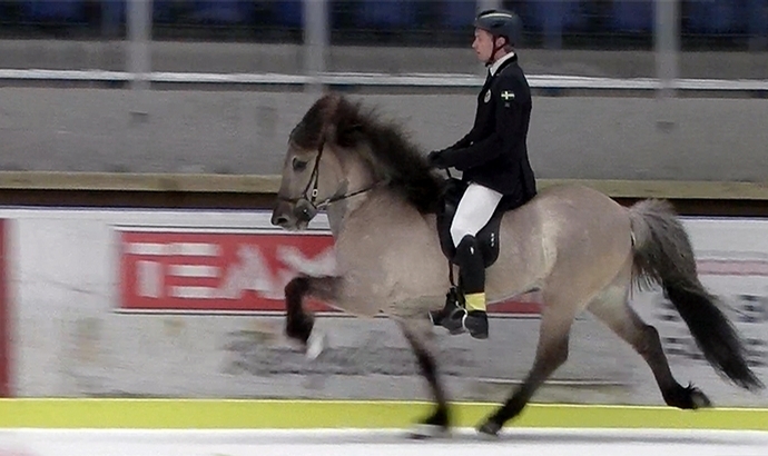 Tölt on Ice: Jóhann und Pierre in X.V2 und Y.T3 top