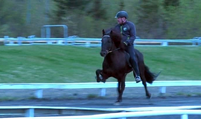 FIZO: Starke Leistungen in Hafnarfjörður / Apollo-Vid.