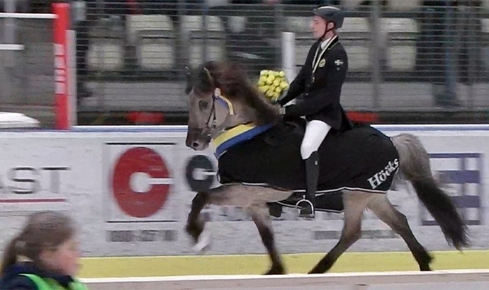 Tölt on Ice: Pierre und Sjór gewinnen YR-Titel