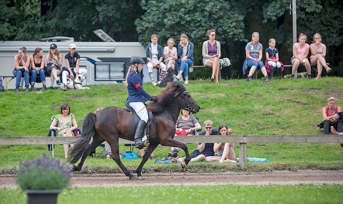Godemoor: Jubel bei Jule, Janina, Marc, Clara, Sophie