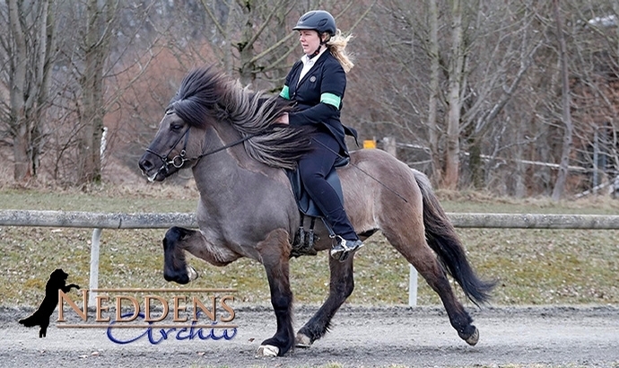Ellenbach: Lisa, Dörte, Milena, Katharina vorn