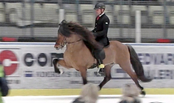 Tölt on Ice: Jóhann und Hnokki top in Kungsbacka