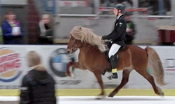 Tölt on Ice: Pierre und Geisli die besten YR-Tölter