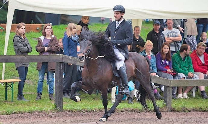 G’moor: Jo/Heimir stark, F2-Spitze an Flora, Update