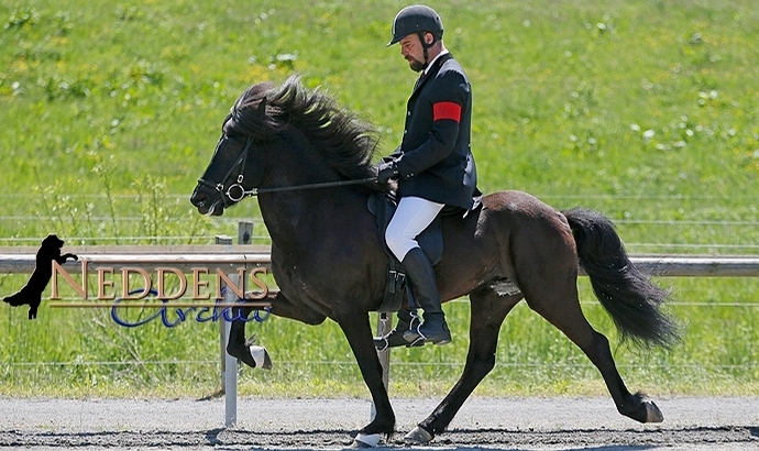 Móarbær: V2 an Thorsten vor Stymmi und Frank