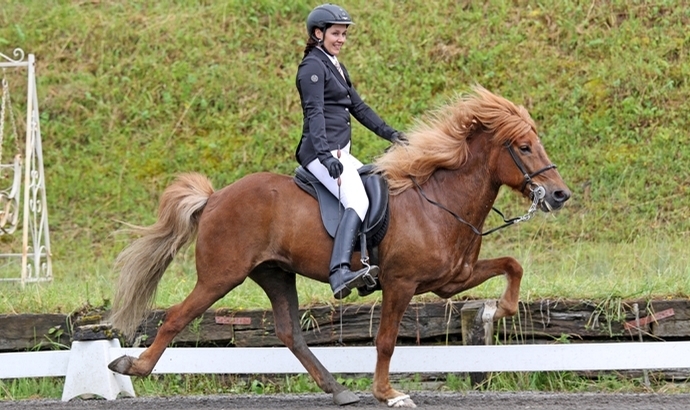 Grenzland: 2x Sachs, Keil, Jónasson, Biernath jubeln