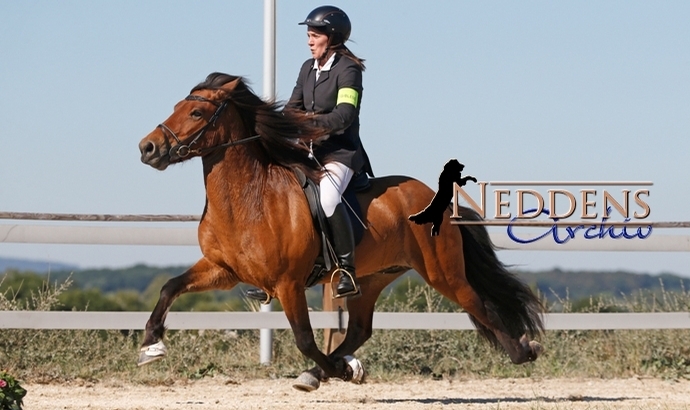 HIM: Cathi & Á toppen V2, F2-Spitze für Silke/Heiðar
